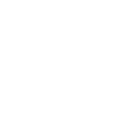 ec-carpet2
